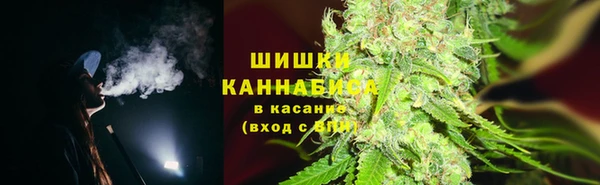 молекула духа Бугульма