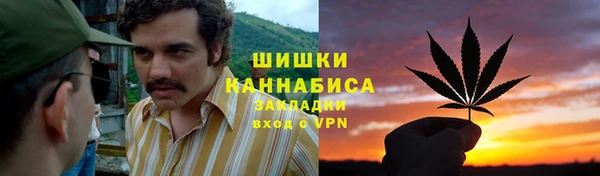 молекула духа Бугульма