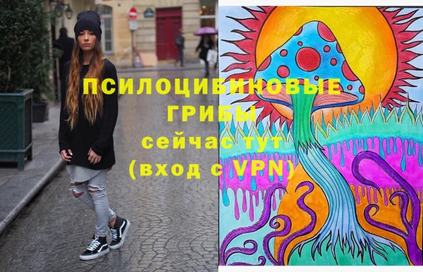 молекула духа Бугульма