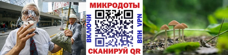 Псилоцибиновые грибы прущие грибы  даркнет сайт  Тбилисская 